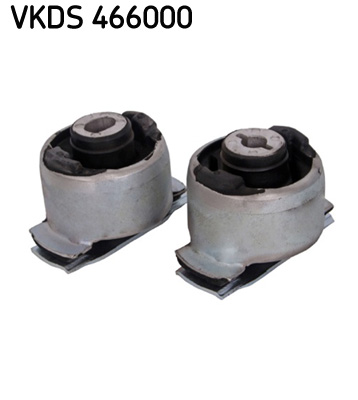 Set reparatie, corp ax VKDS 466000 SKF